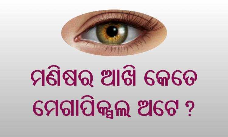 IAS ପ୍ରଶ୍ନ: ମଣିଷର ଆଖି କେତେ Megapixel ଅଟେ? ଉତ୍ତର ଜାଣି ନାହାନ୍ତି ଯଦି ଜାଣି ରଖନ୍ତୁ କାମରେ ଆସିପାରେ