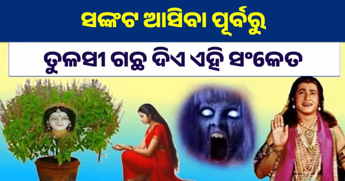 tulasi gacha odia