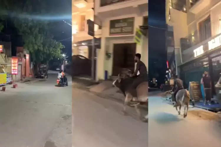 Drunk man rides bull