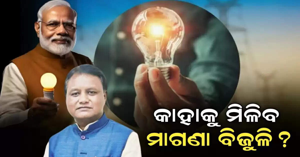 Free electricity scheme