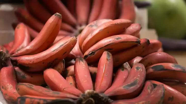 Red banana