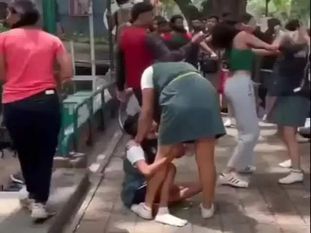 Girl fight